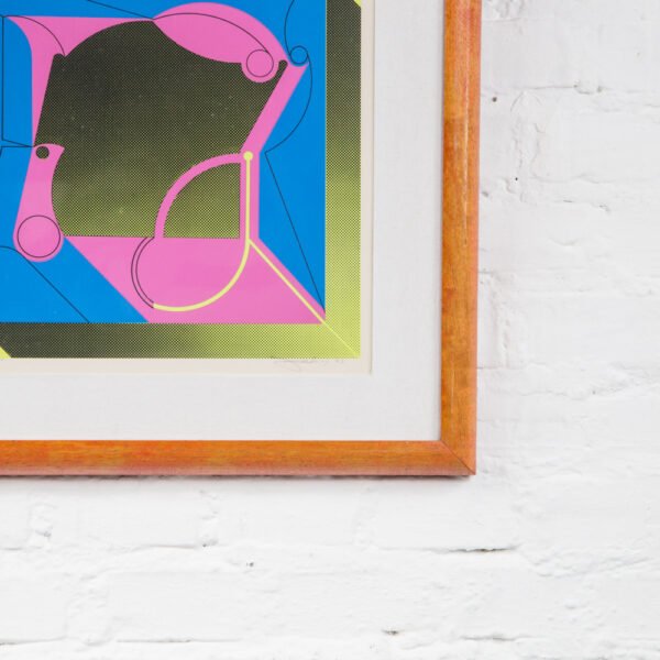Quadro Com Serigrafia - Abelardo Zaluar - Imagem 4